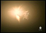 Klicke auf die Grafik für eine vergrößerte Ansicht

Name: Razor (160).jpg
Ansichten: 50
Größe: 26,6 KB
ID: 4257615