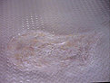 Klicke auf die Grafik für eine vergrößerte Ansicht

Name: aq6-13.jpg
Ansichten: 266
Größe: 107,6 KB
ID: 4263486