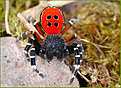 Klicke auf die Grafik für eine vergrößerte Ansicht

Name: 14562094.jpg
Ansichten: 70
Größe: 317,0 KB
ID: 4264635