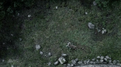 Klicke auf die Grafik für eine vergrößerte Ansicht

Name: vlcsnap-2012-01-19-19h29m49s171.png
Ansichten: 92
Größe: 524,4 KB
ID: 4266201