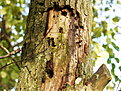 Klicke auf die Grafik für eine vergrößerte Ansicht

Name: PB065290.jpg
Ansichten: 71
Größe: 744,5 KB
ID: 4267703