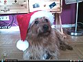 Klicke auf die Grafik für eine vergrößerte Ansicht

Name: Hunter Rae,24.12.12,Santa Bilbo.JPG
Ansichten: 156
Größe: 86,7 KB
ID: 4267996