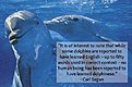 Klicke auf die Grafik für eine vergrößerte Ansicht

Name: Dolphins.jpg
Ansichten: 93
Größe: 26,6 KB
ID: 4268945