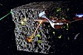 Klicke auf die Grafik für eine vergrößerte Ansicht

Name: Borgcube_FirstContact_RGB.jpg
Ansichten: 87
Größe: 193,5 KB
ID: 4284022