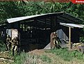 Klicke auf die Grafik für eine vergrößerte Ansicht

Name: 0124_pc_yan_farcry_04.jpg
Ansichten: 177
Größe: 74,2 KB
ID: 4284153