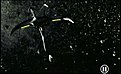 Klicke auf die Grafik für eine vergrößerte Ansicht

Name: vapklasse.jpg
Ansichten: 161
Größe: 56,9 KB
ID: 4285335