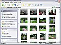 Klicke auf die Grafik für eine vergrößerte Ansicht

Name: 1.JPG
Ansichten: 99
Größe: 92,0 KB
ID: 4285366