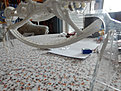 Klicke auf die Grafik für eine vergrößerte Ansicht

Name: DSCN2927-klein.JPG
Ansichten: 217
Größe: 123,8 KB
ID: 4507213